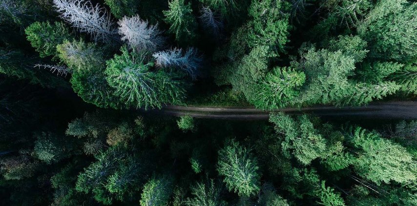 Photo by Geran de Klerk